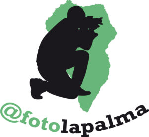 Logotipo para el parche Afoto La Palma.